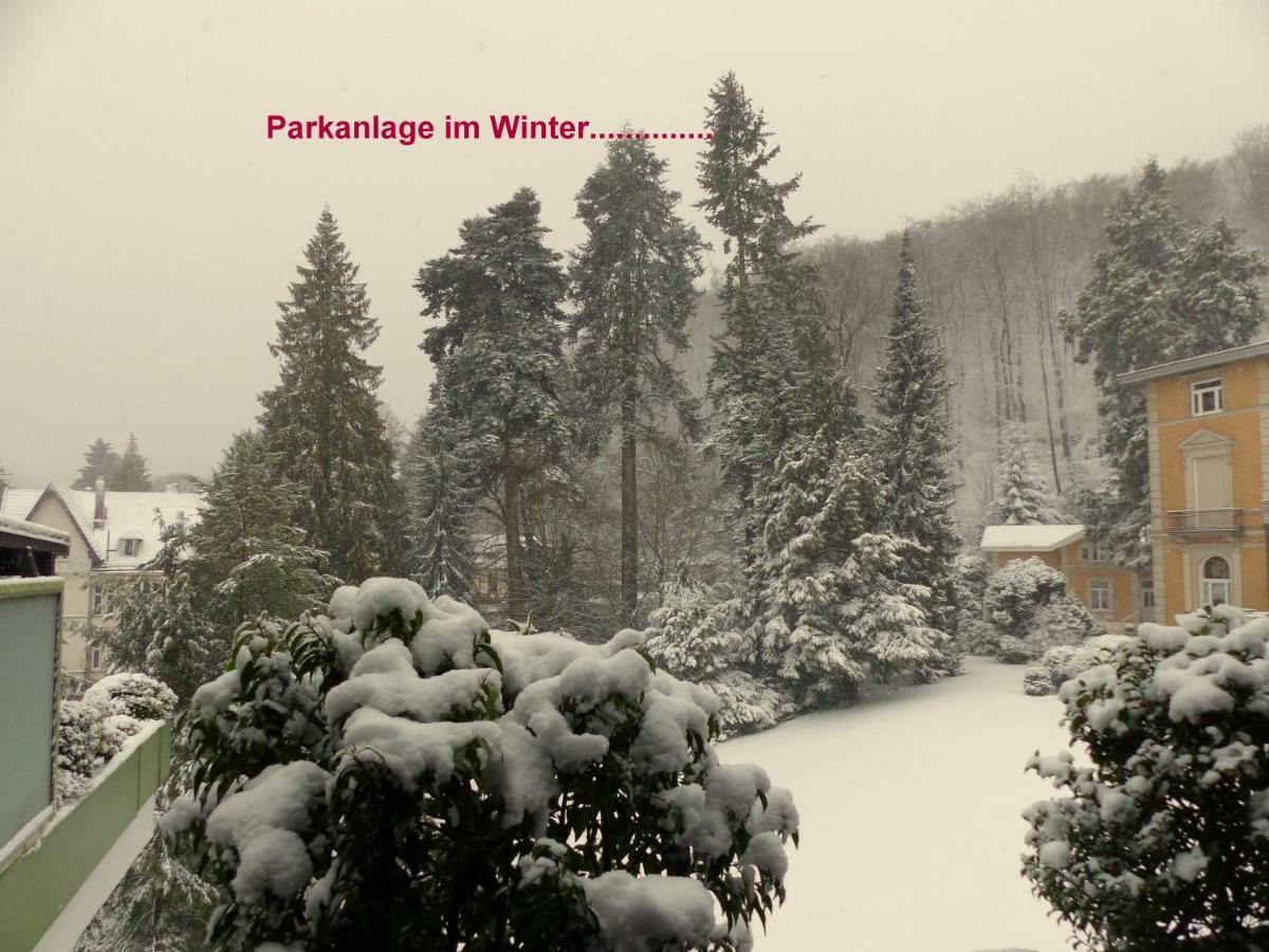 Fewo Parkblick Mit 2 Baedern Bad Harzburg Buitenkant foto